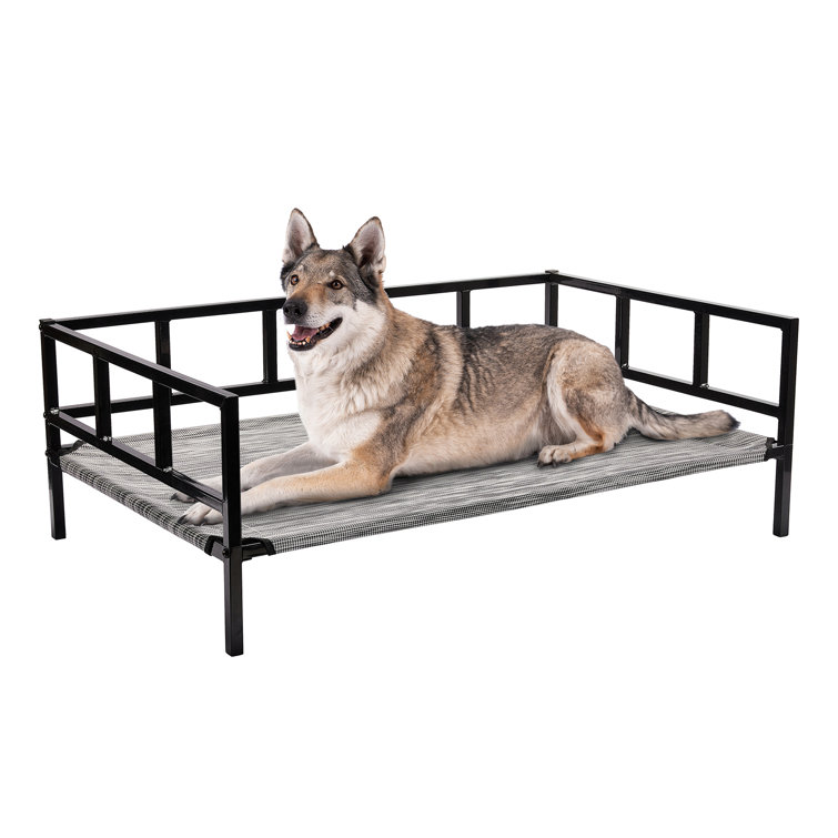 Elevated dog bed deals frame